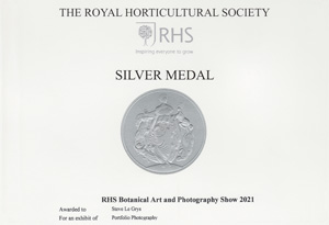 RHS Silver